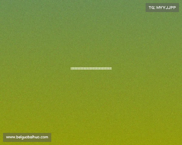 加的斯历史与文化探秘：探索西班牙最古老城市的魅力与遗产